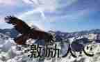 领导激励员工演讲稿6篇