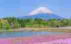 果园写景作文7篇
