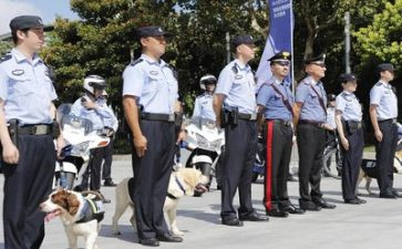 2023年警察个人工作总结8篇