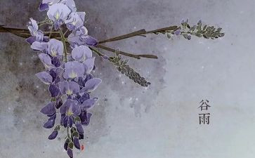 24节气策划活动方案5篇