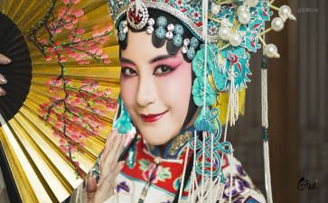 京剧猫的作文7篇