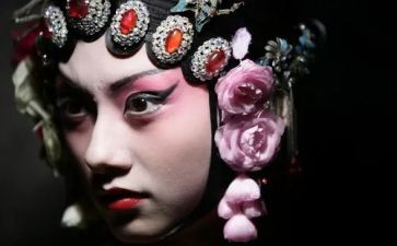 京剧猫的作文推荐7篇