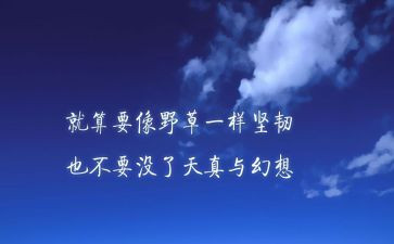 培训团队精神心得体会总结5篇