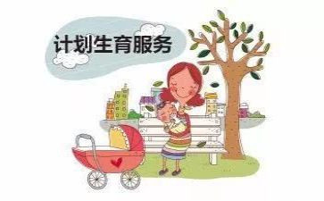 村计生工作半年工作总结8篇