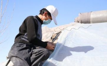 信息技术培训心得推荐7篇