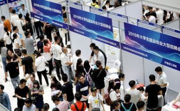 劳动就业工作个人总结5篇