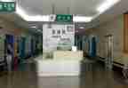 2023急诊述职报告5篇