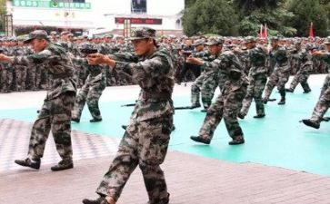 军训中心得体会500字6篇
