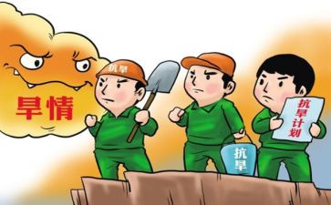 县抗旱工作总结8篇