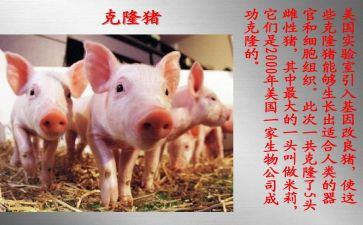 克隆技术的作文6篇