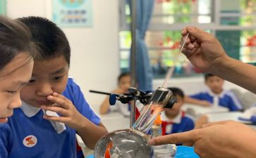 科学课活动方案精选7篇