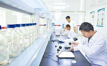 科研式工作总结通用7篇