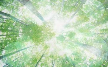 幼儿园空气教案精选7篇