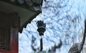 苦与乐演讲稿1500字优质6篇