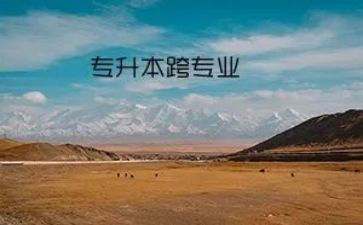 跨专业申请书模板7篇