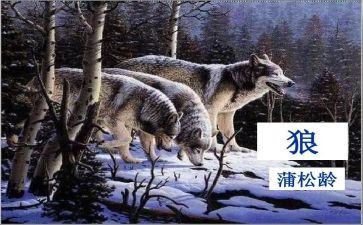 《狼》的读后感500字通用6篇