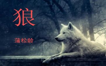 《狼》的读后感500字7篇