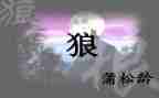 《狼》读后感作文精选5篇