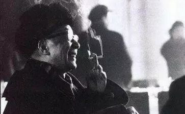 老舍养花读后感8篇