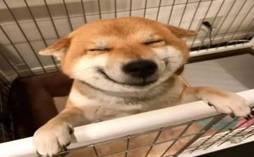 音乐教师月工作总结推荐8篇