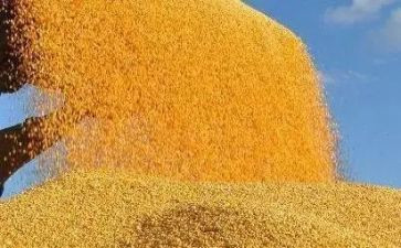 幼儿园节约粮食的教案8篇