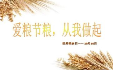 粮食节活动方案策划模板7篇