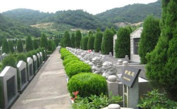 观烈士陵园的心得体会模板6篇