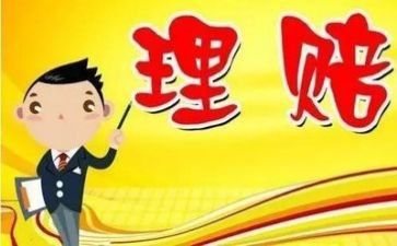 理赔员年终工作总结5篇