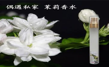 留香的作文模板6篇