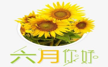 写六月工作总结5篇