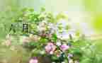 写六月工作总结参考6篇