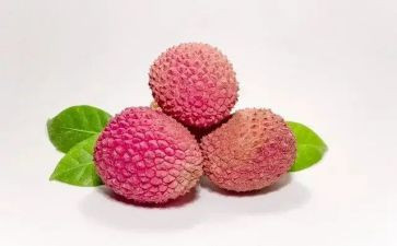 家乡的荔枝树作文6篇