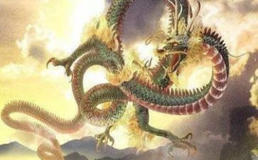 阅读龙读后感6篇