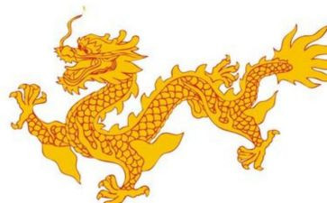 赛龙舟心得体会7篇