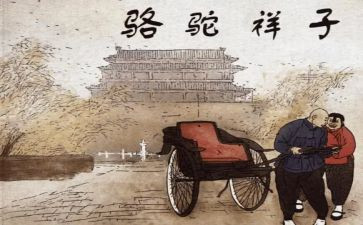 骆驼详子心得体会5篇