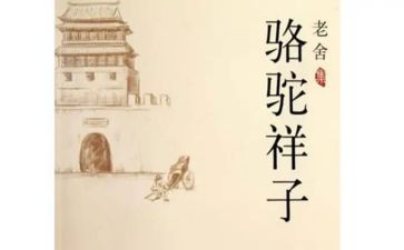 骆驼详子心得体会参考8篇