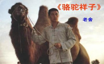 骆驼详子心得体会精选8篇