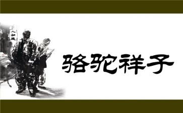 骆驼祥子主心得体会推荐5篇