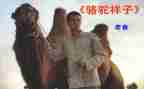 骆驼详子心得体会精选8篇