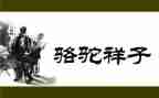 骆驼祥子主心得体会7篇
