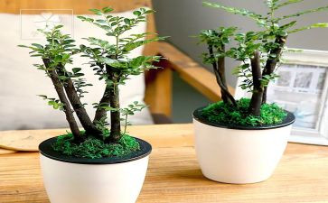 绿化办的工作总结精选6篇