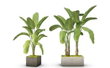 绿化工述职报告范文5篇