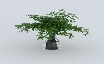 绿色的校园低碳生活演讲稿5篇