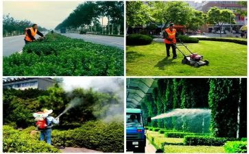 2023绿化工作总结7篇