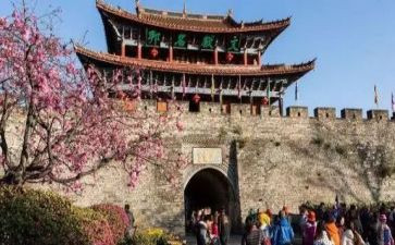 我想看旅游作文推荐7篇