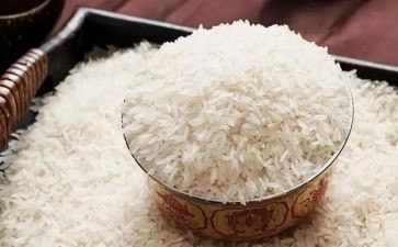卖米读后感8篇