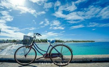 读是慢的艺术心得体会推荐7篇