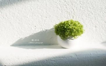 慢为题作文5篇