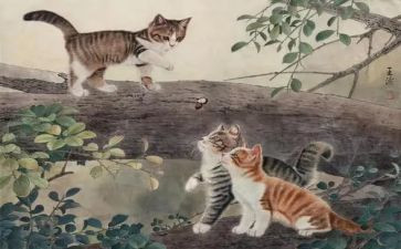 国宝大熊猫作文参考8篇