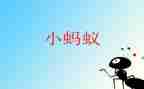 蚂蚁小学作文精选5篇